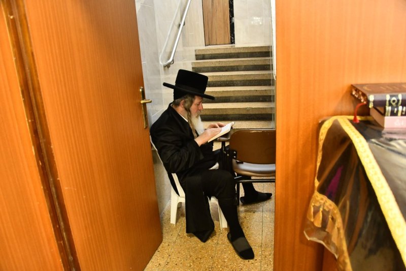 שוקי לרר