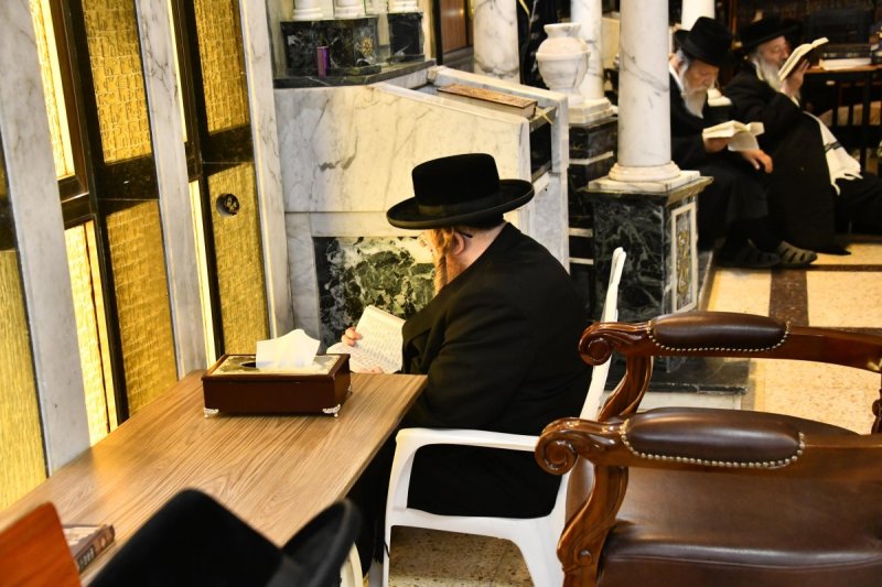 שוקי לרר