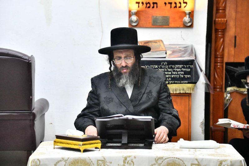 שוקי לרר
