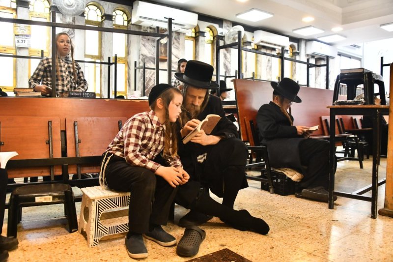 שוקי לרר