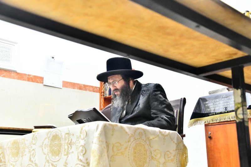 שוקי לרר