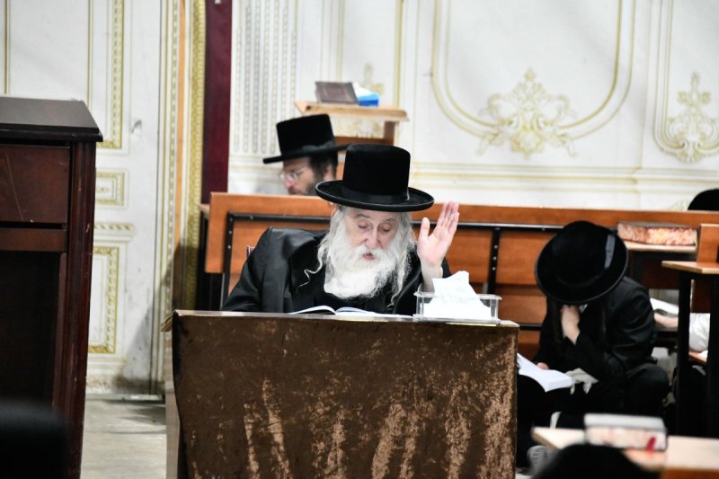 שוקי לרר