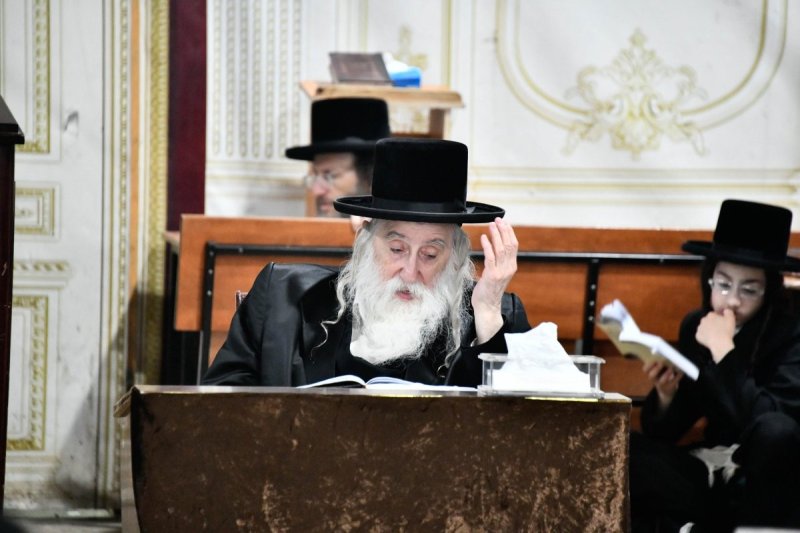 שוקי לרר