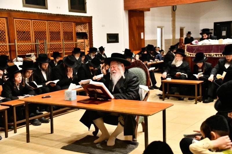 שוקי לרר