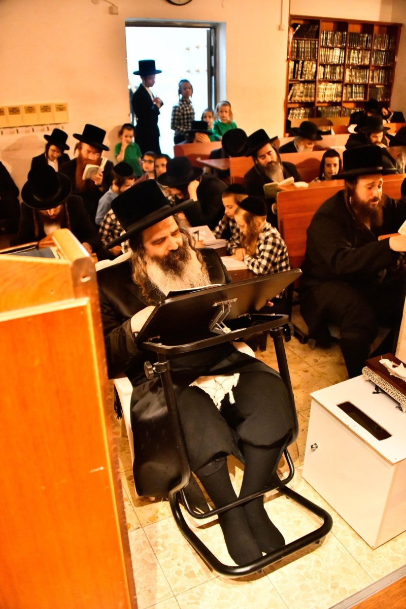 שוקי לרר