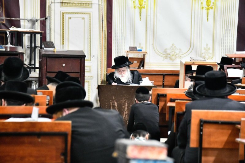 שוקי לרר
