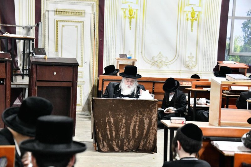 שוקי לרר