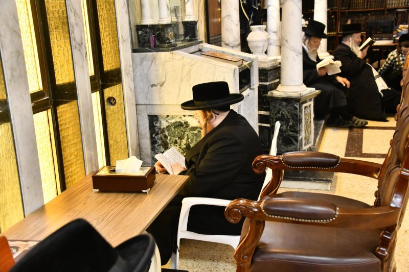 שוקי לרר
