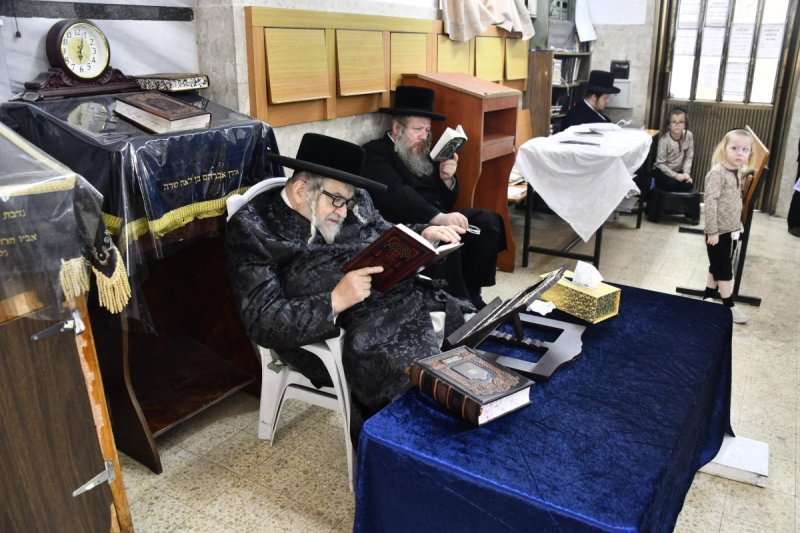 שוקי לרר