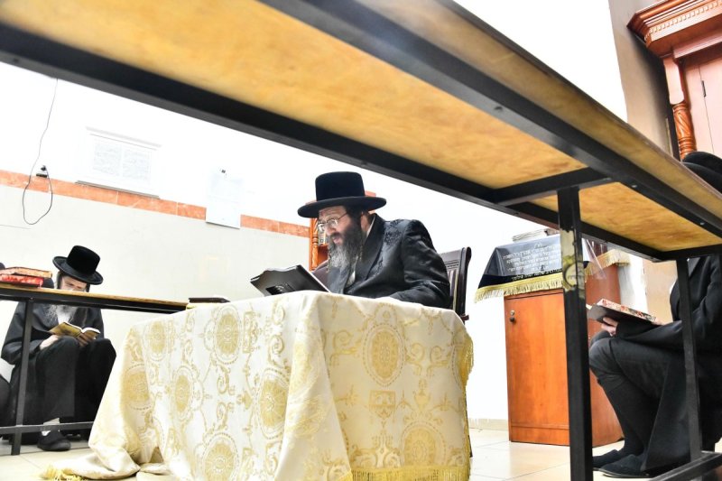 שוקי לרר