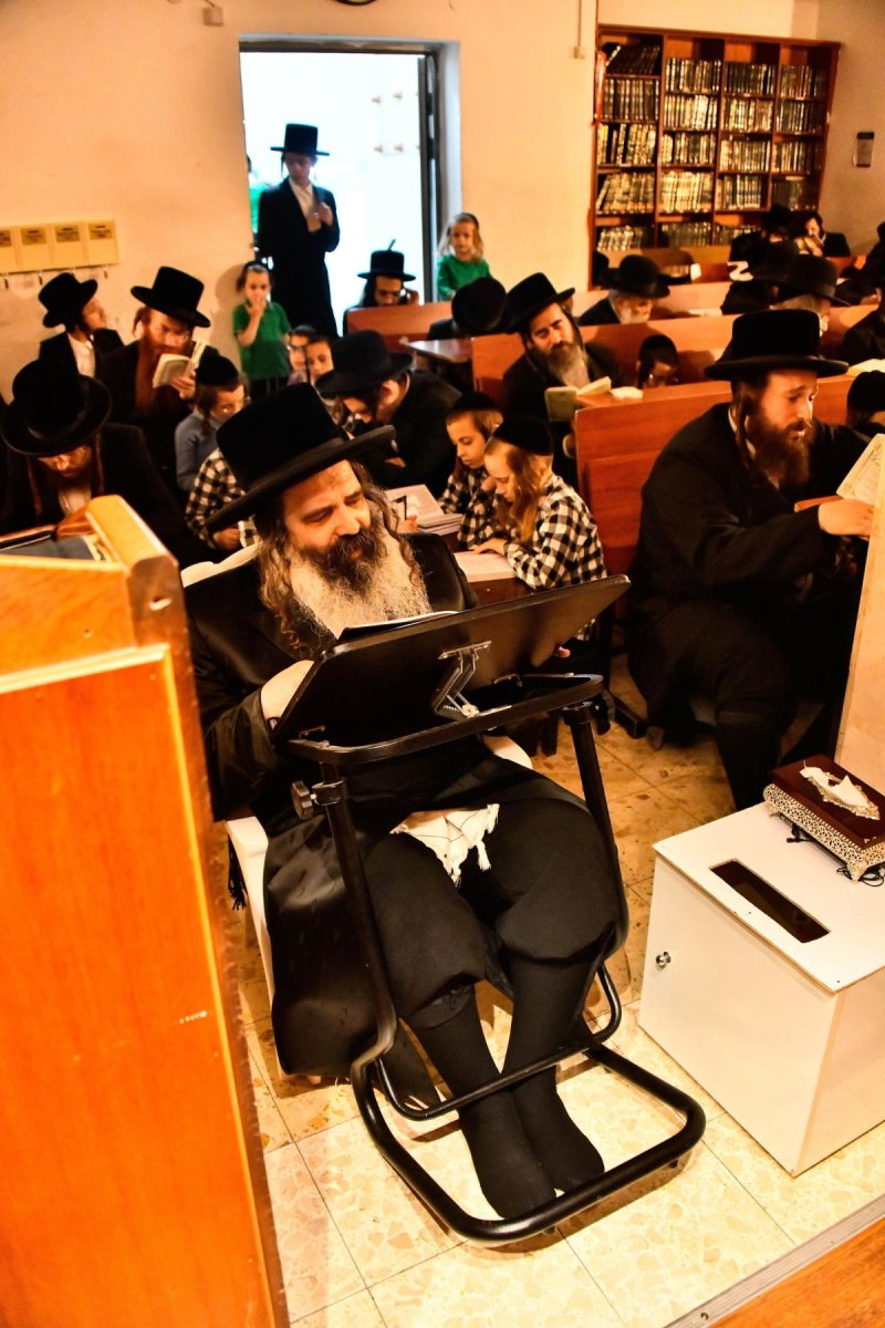 שוקי לרר