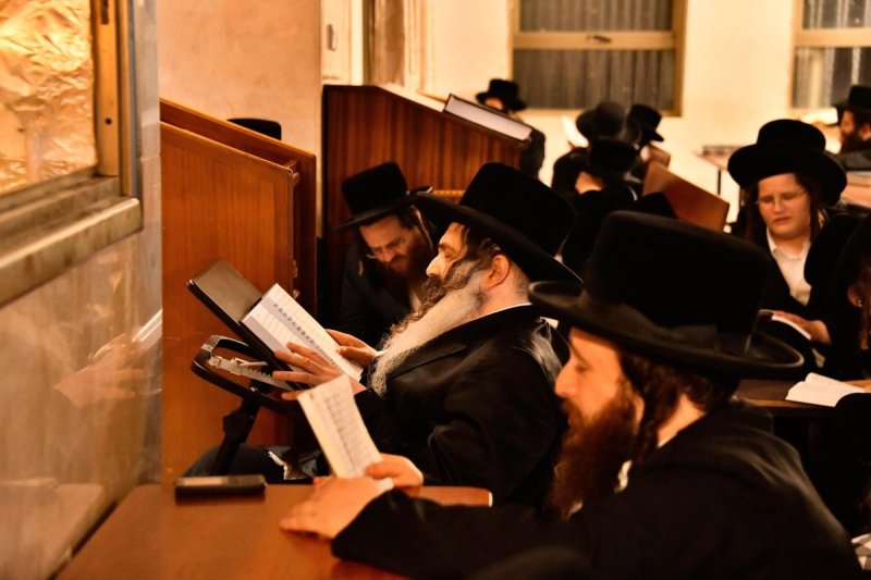 שוקי לרר