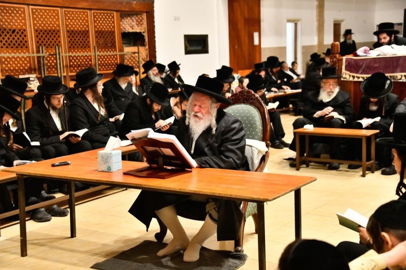 שוקי לרר