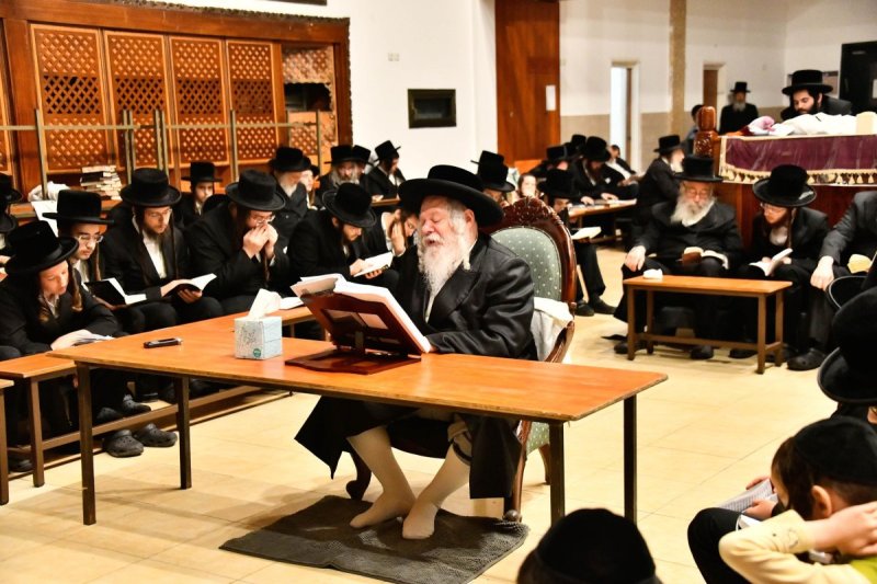 שוקי לרר