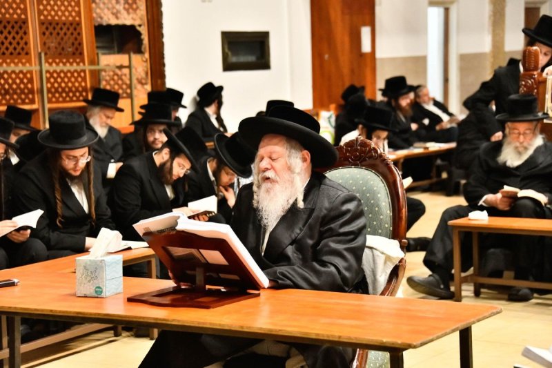 שוקי לרר