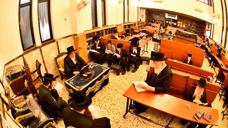 שוקי לרר