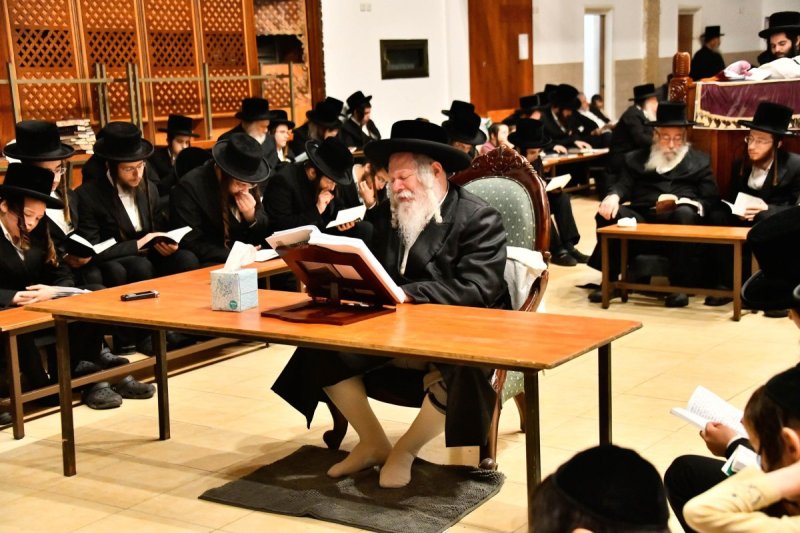 שוקי לרר
