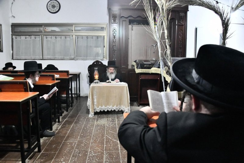 שוקי לרר