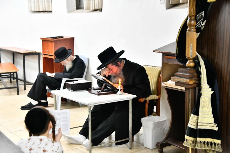 שוקי לרר