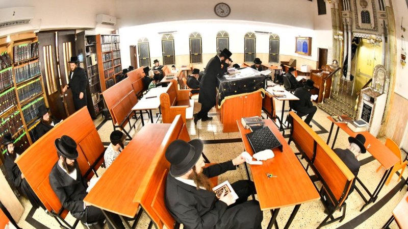 שוקי לרר
