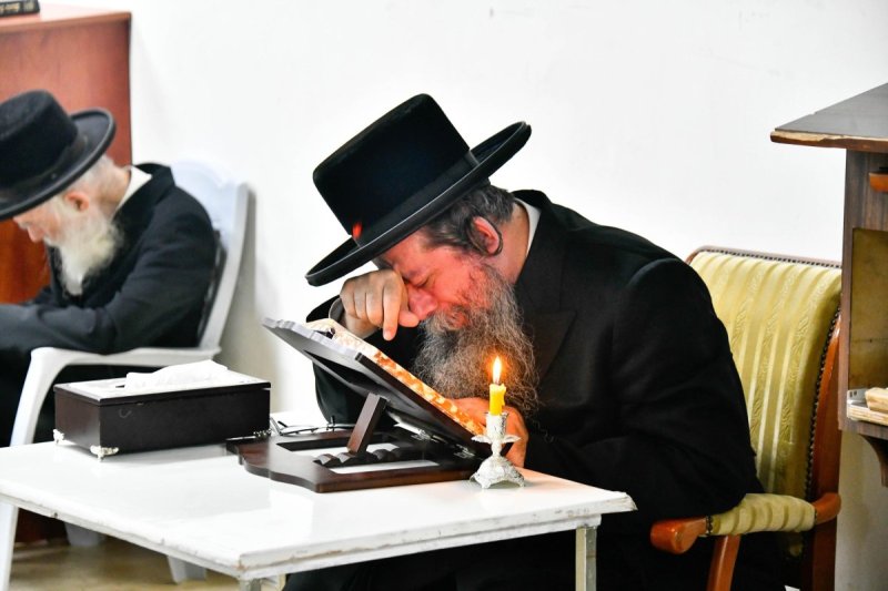 שוקי לרר