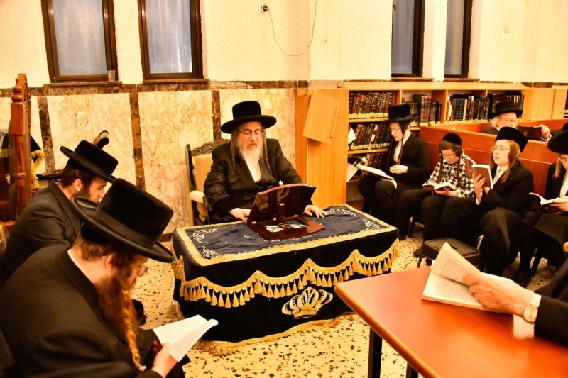 שוקי לרר
