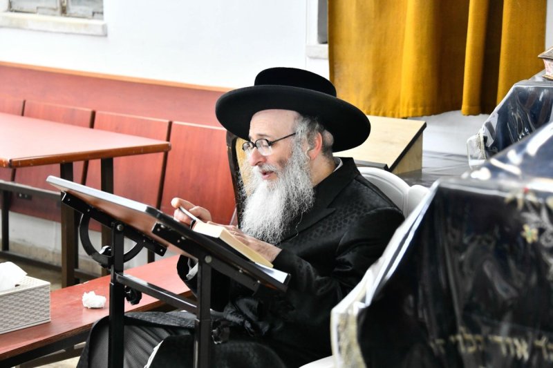 שוקי לרר