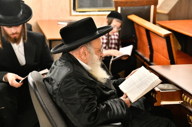 שוקי לרר