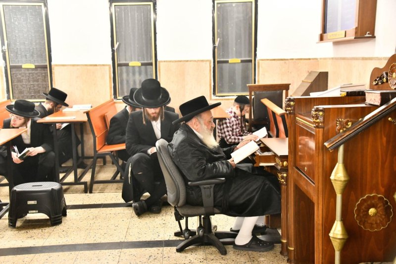 שוקי לרר