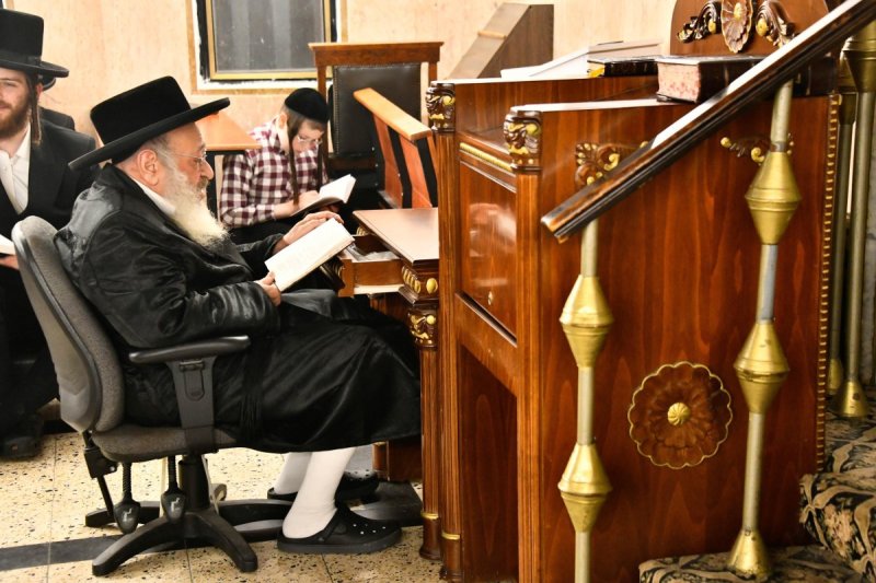 שוקי לרר