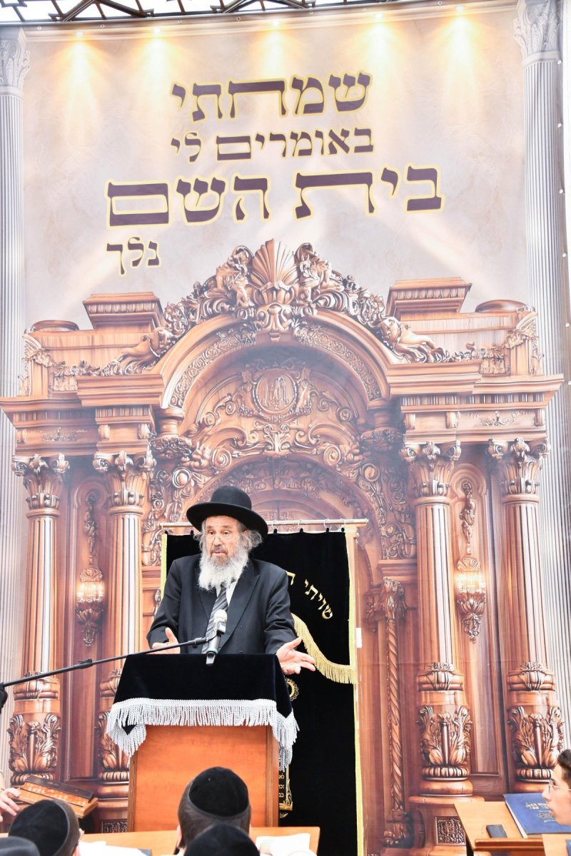 שוקי לרר