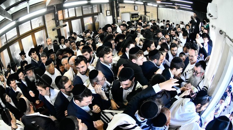 שוקי לרר