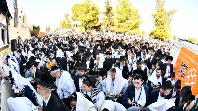 שוקי לרר