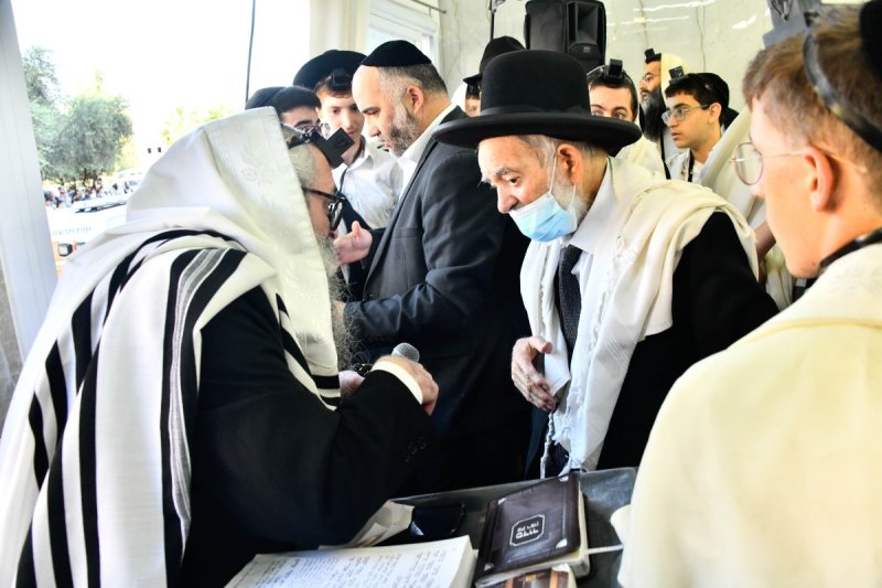 שוקי לרר