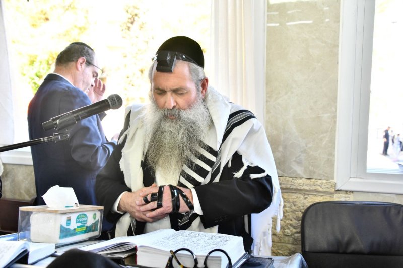 שוקי לרר