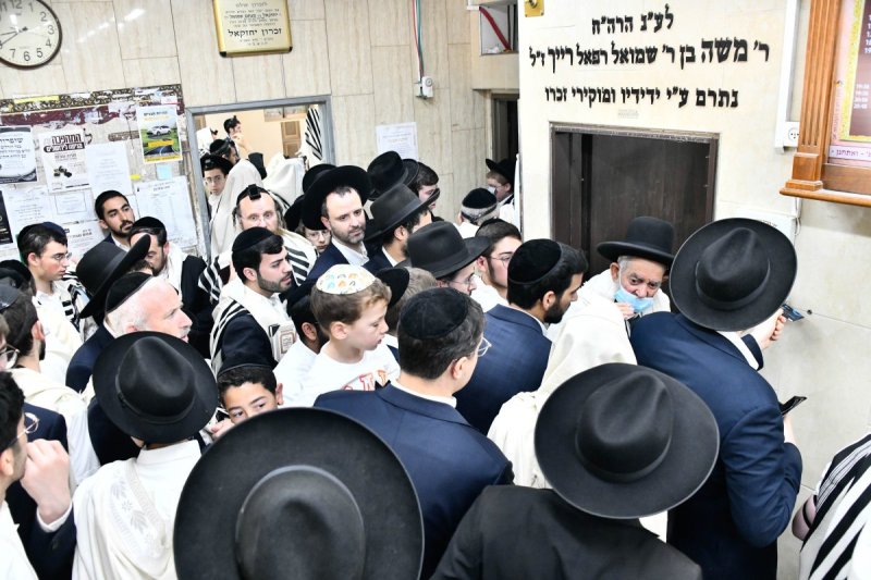 שוקי לרר