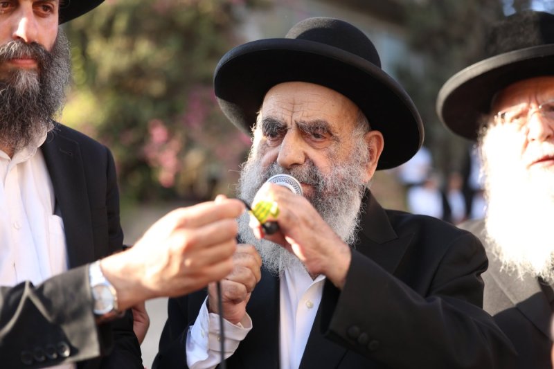 דוד ארזני