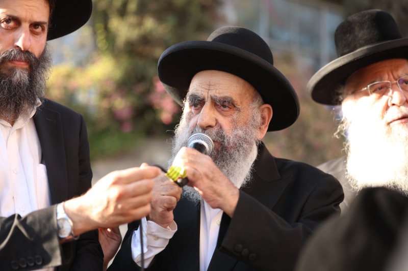 דוד ארזני