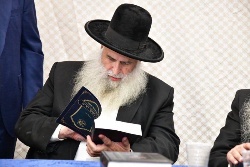 יוסי לוי