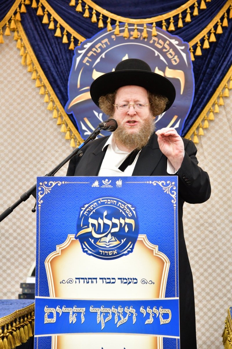 יוסי לוי