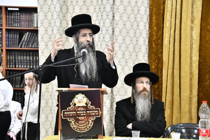 שוקי לרר