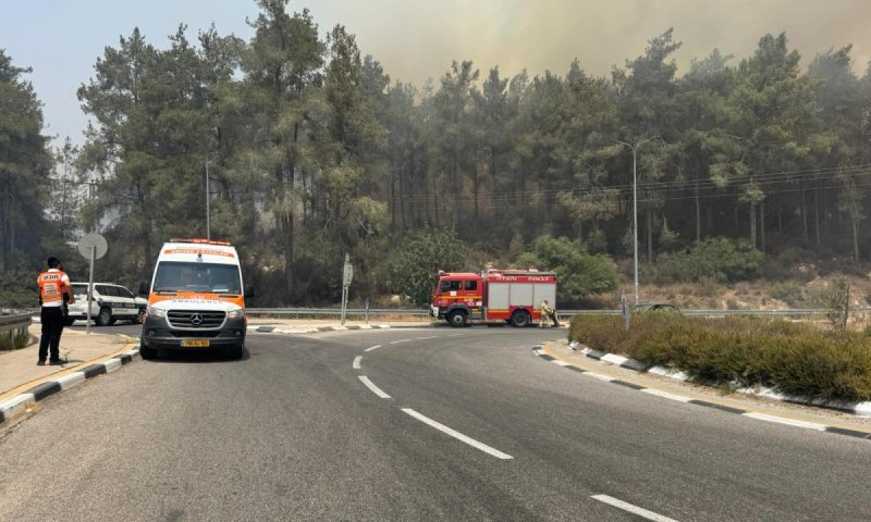 רכב עלה באש בכביש 44 וגרם לשריפת יער, מטוסים הוזנקו