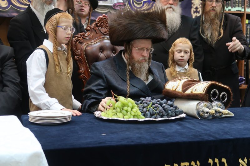 דודי סגל
