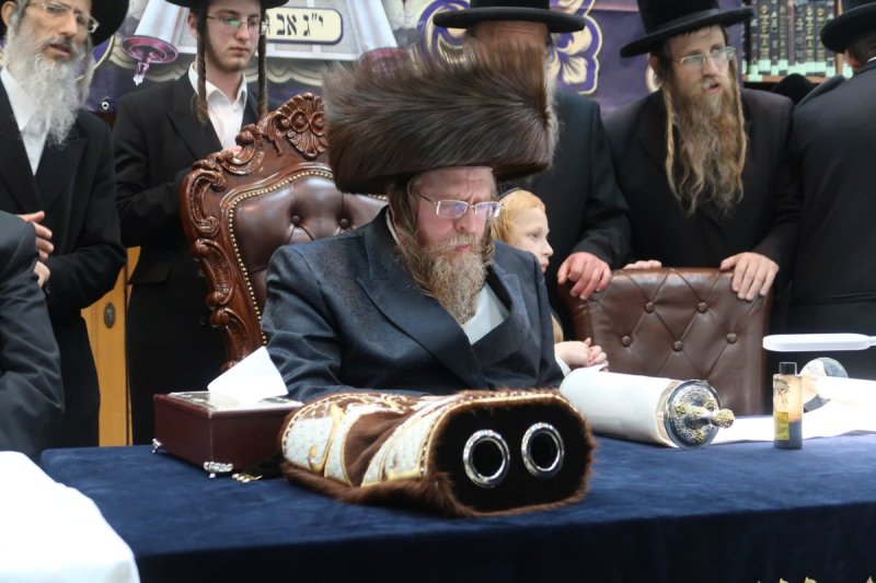 דודי סגל