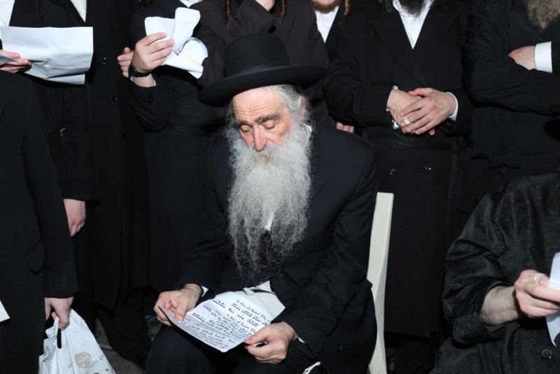 דוד ארזני