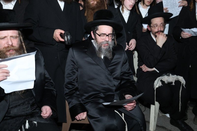 דוד ארזני