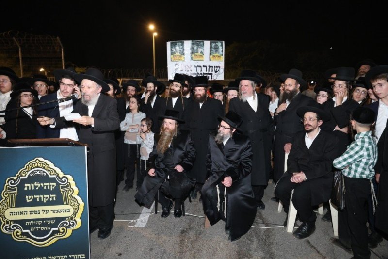 דוד ארזני