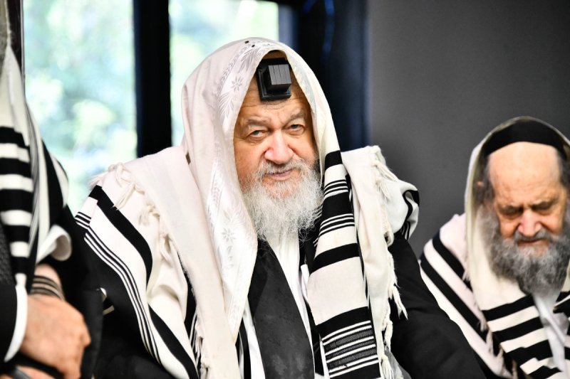 שוקי לרר