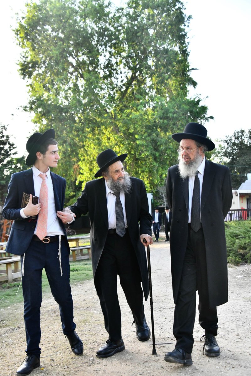 שוקי לרר