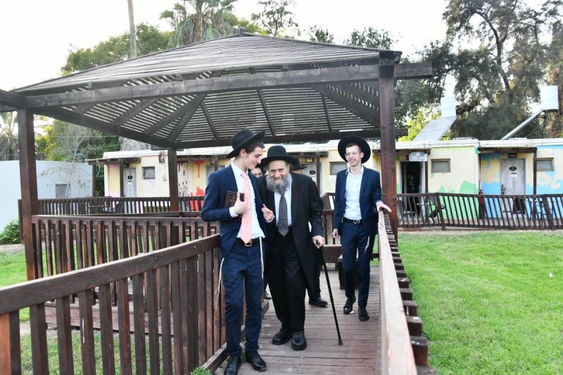 שוקי לרר